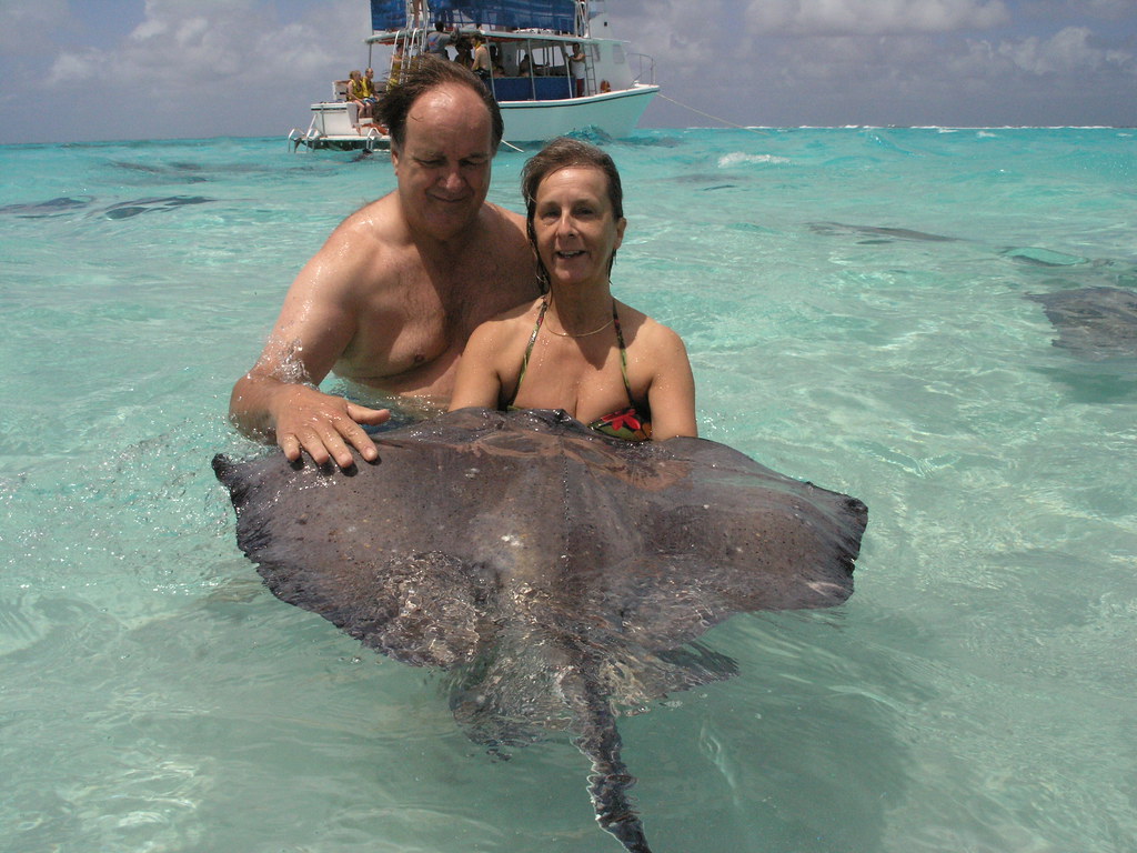 Swimming with Stingrays